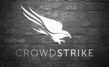 Crowd Strike